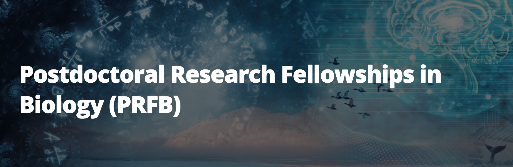 nsf postdoctoral research fellowship in biology